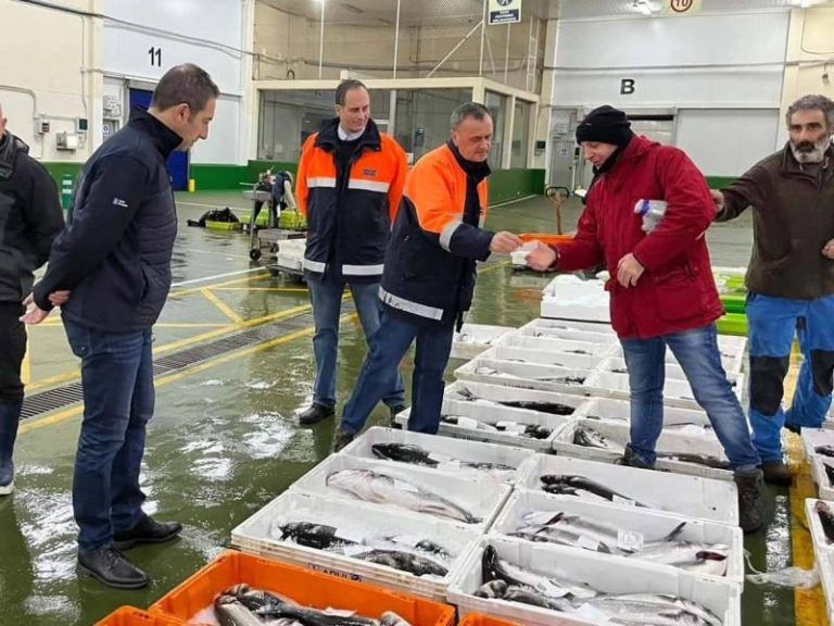 La lonja de Vigo mantiene su liderazgo en 2023