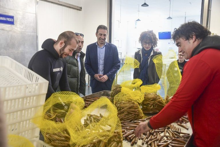 La navaja de Cíes, modelo de revalorización de los productos pesqueros gallegos