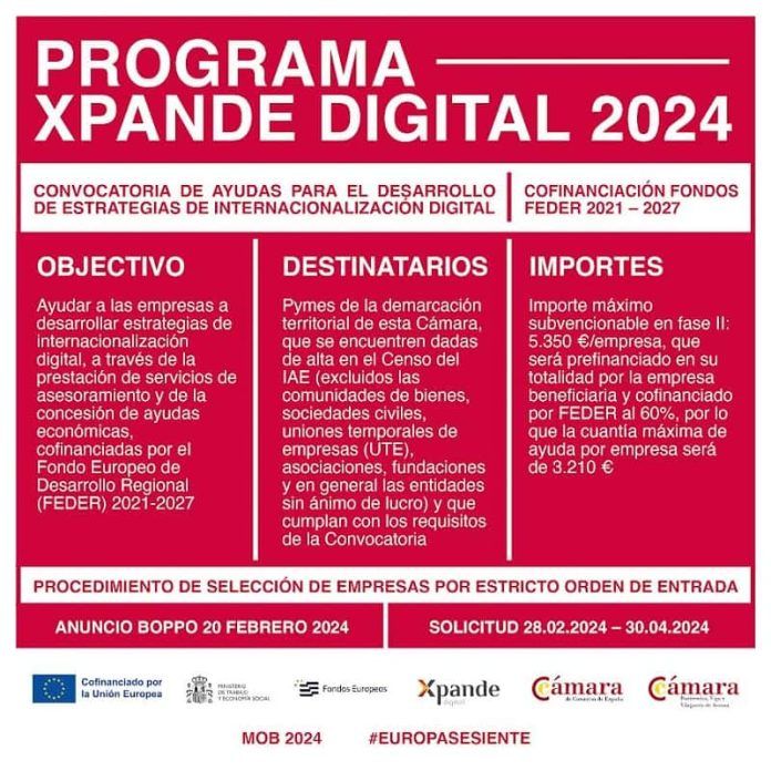 programa xpande digital 2024-min