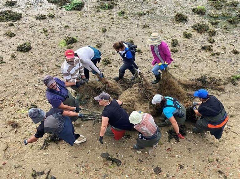 Vidrio, cerámica, algas, madera y plásticos encabezan la basura que retiraron los profesionales del mar en Galicia