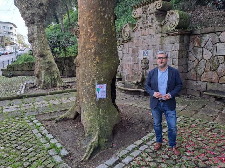 El PP de Vigo exige la comparecencia pública del edil de Parques y Jardines con los informes que justifiquen que se tale un millar de árboles al año