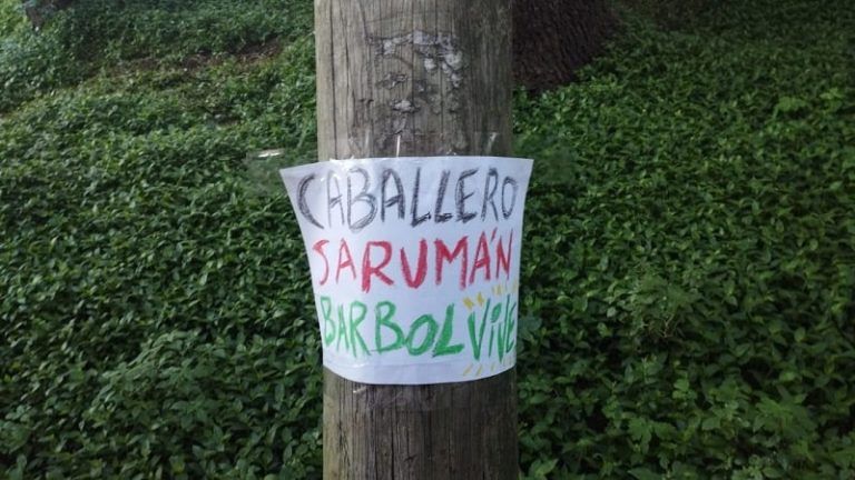 Ecologistas en Acción denuncia la «poda sistemática» de árboles urbanos del Concello de Vigo