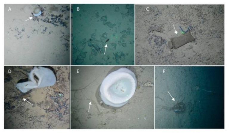 EL IEO estudia la presencia de basura en el área marina protegida del Banco de la Concepción