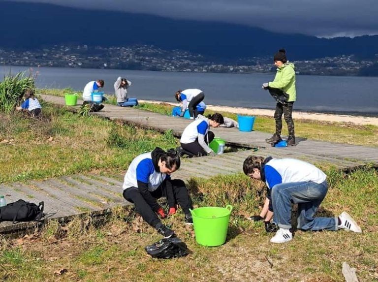 Estudiantes y profesorado del Colegio Hogar Afundación retiran basura marina y flora exótica invasora del arenal de Cesantes