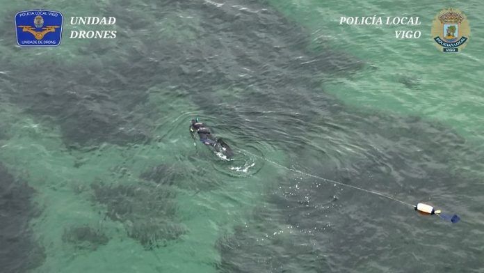 pesca submarina buzo (2)-min