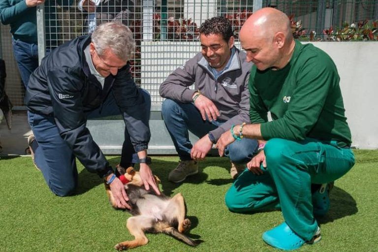 Rueda destaca que la Xunta lanzará en unas semanas la orden de ayudas para cubrir los primeros gastos veterinarios tras adoptar un animal de compañía abandonado