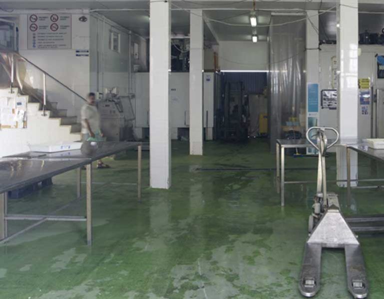 La Xunta otorga la concesión de la lonja de Bueu a la Confraría de Pescadores San Martiño