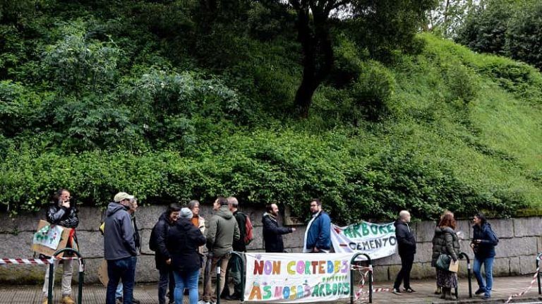 O BNG de Vigo esixe a Caballero que anule definitivamente a talla de árbores na Falperra que foi paralizada grazas á mobilización veciñal