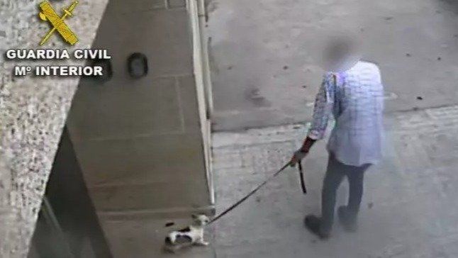 Acepta 12 meses de prisión por matar a su perra en Baiona