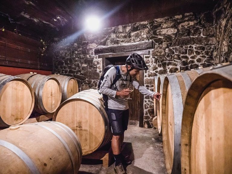 El CSIC impulsa desde Vigo un gemelo digital para revolucionar la fermentación del vino