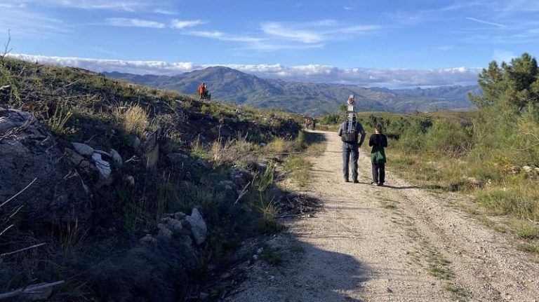 Investigadores da UVigo deseñan unha plataforma de apoio á toma de decisións para a prevención de incendios forestais