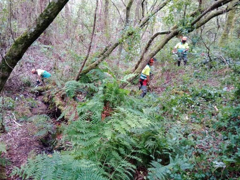 La Xunta realiza labores de conservación y mantenimiento en el río Postillón, a su paso por el Ayuntamiento de Cangas