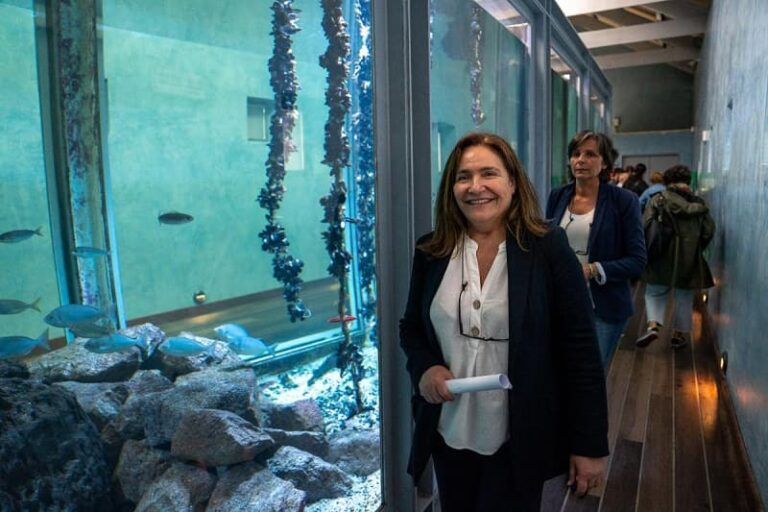 La Xunta ofrece este verano con el «CulturON 2024» más de 500 planes culturales para todas las edades en el área de Vigo