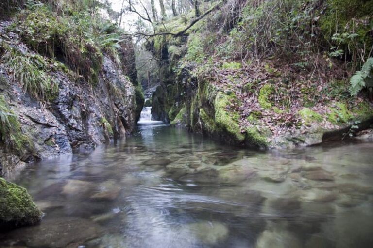 A Deputación leva esta fin de semana o programa provincial “+Bosques” ata os ríos Xabriña e Almofrei