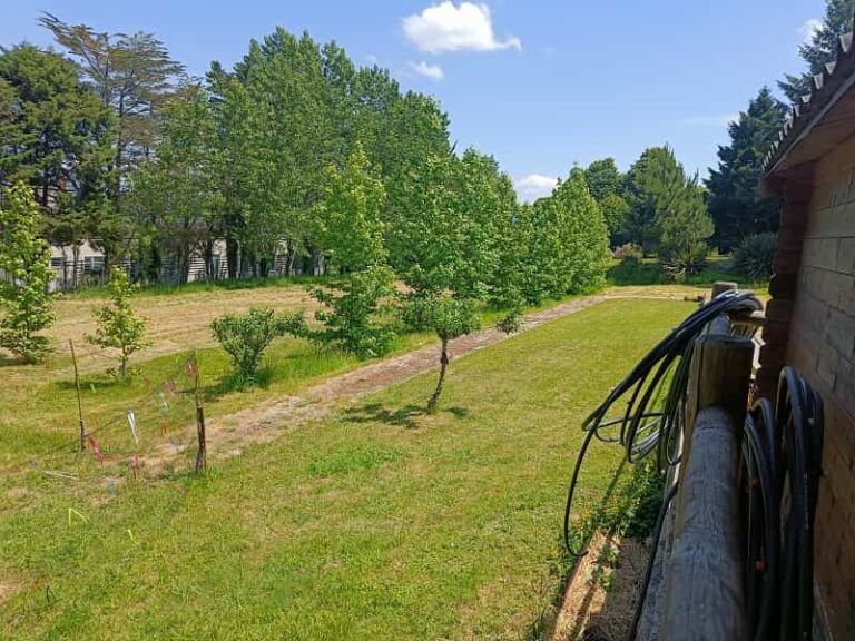 COGAMI impulsa un jardín sensorial terapéutico en el servicio de atención diurna de Mos