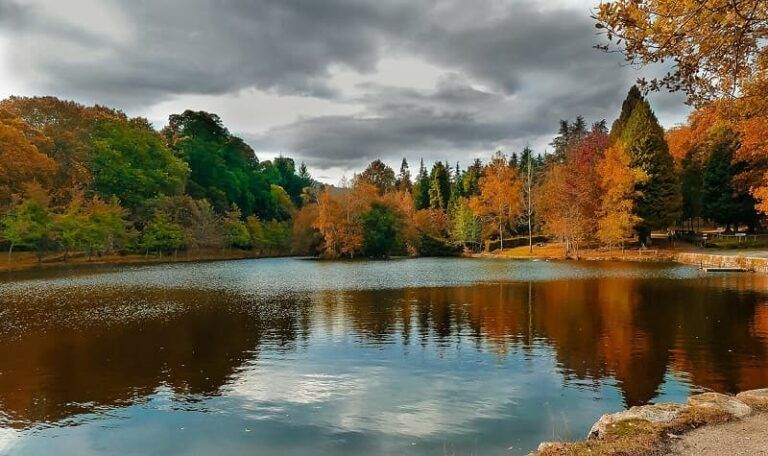 A Deputación pecha esta fin de semana o programa +Bosques do 2024 con percorridos polo lago Castiñeiras e o pazo de Lourizán