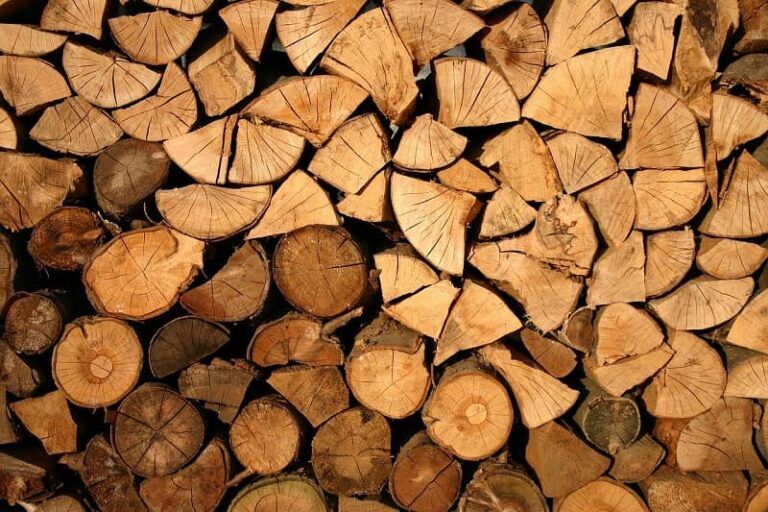 Galicia concentra el 9% de los trabajadores del sector Papel y Madera con 10.036 ocupados