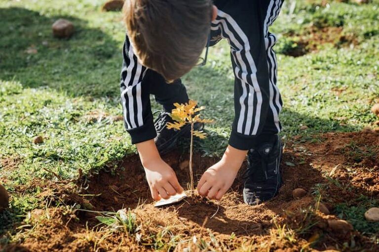 Vigo se suma a la reforestación sostenible con Bosques Northgate