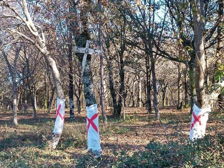 Cruces rojas en los árboles de Mos para denunciar el impacto ambiental del proyecto GS360 del Celta