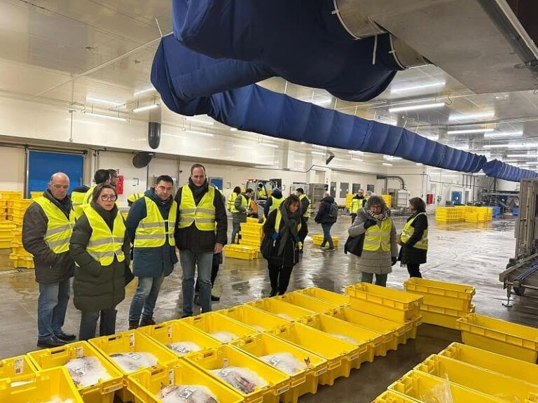 El Puerto de Vigo refuerza alianzas con terminales francesas en una misión comercial