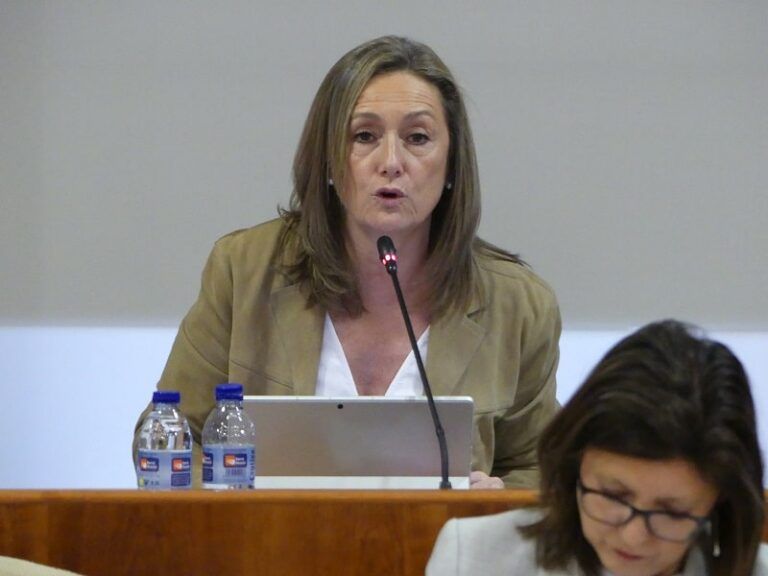 El PP lamenta la “oportunidad perdida” de dotar a Vigo de “la estructura urbanística de una gran ciudad” por culpa de un PXOM “poco ambicioso”