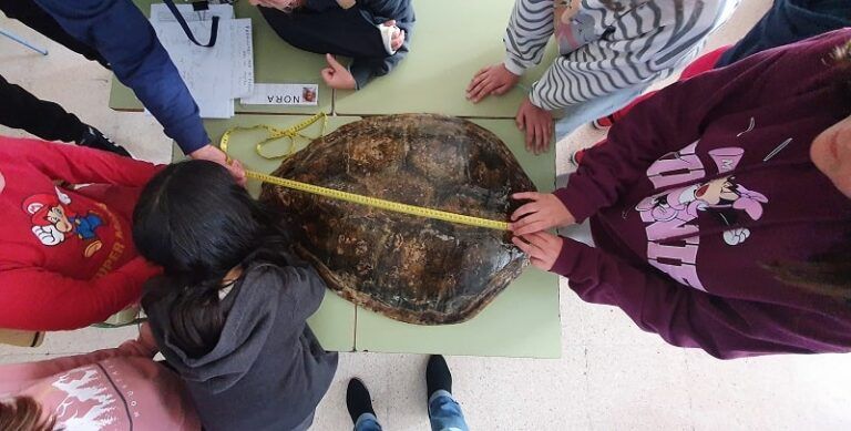 El Instituto Español de Oceanografía celebra el Día de la Mujer y la Niña en la Ciencia