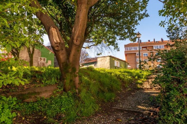 O goberno municipal urbanizará Castro Castriño para unir dúas zonas verdes