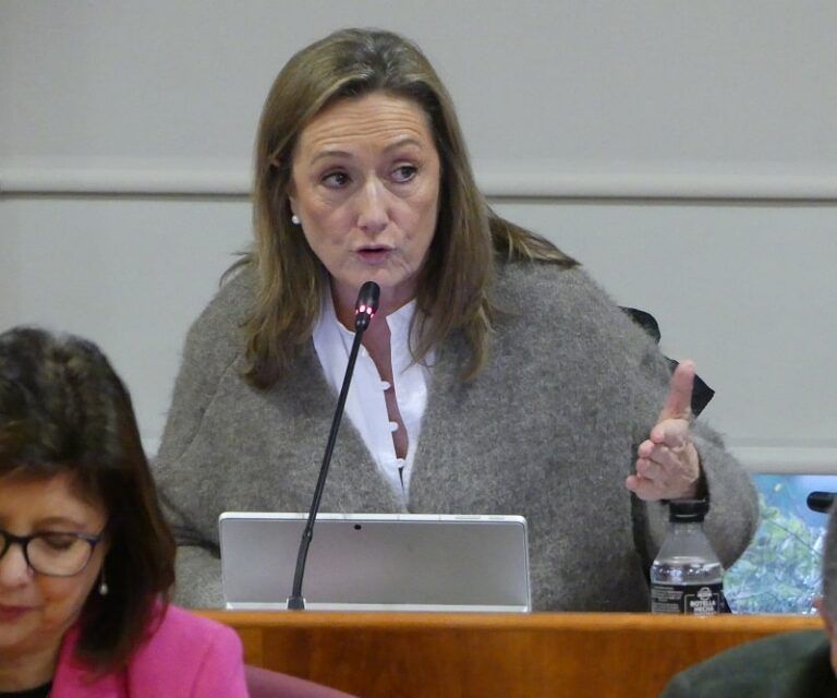Luisa Sánchez lamenta que Vigo tenga “un alcalde que no escucha a la ciudad” y no aporta alternativas “inmediatas” a la A-55 del PSOE