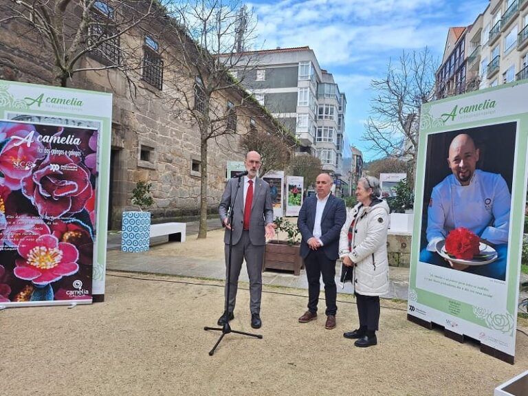 A Deputación leva a Baiona a súa exposición itinerante “A camelia, flor das galegas e dos galegos”
