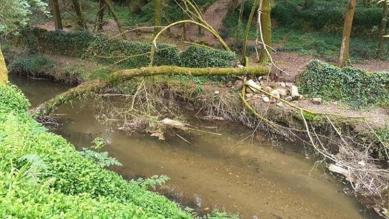 El BNG de Vigo denuncia el abandono del río Lagares y exige medidas urgentes de protección