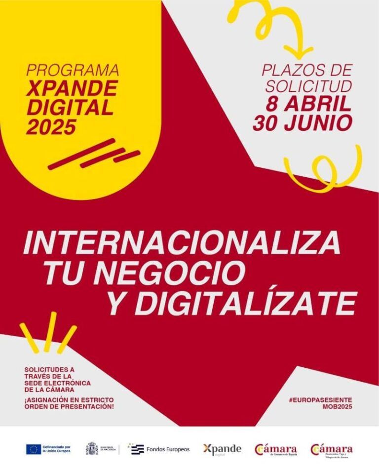 La Cámara de Comercio de Pontevedra, Vigo y Vilagarcía de Arousa impulsa la internacionalización digital de 87 empresas