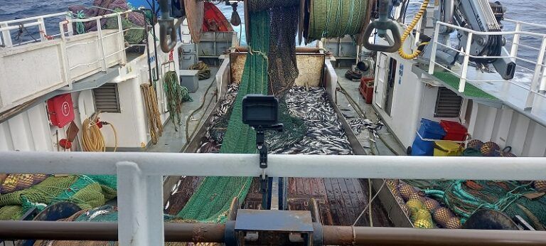 El IEO demuestra el valor de las cámaras digitales en la pesca sostenible