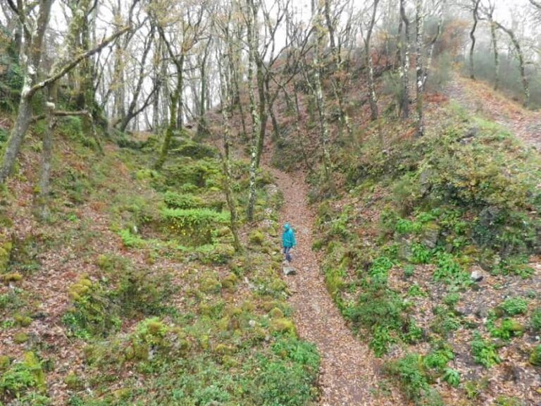 Descubre el bosque encantado que esconde un antiguo poblado entre montañas