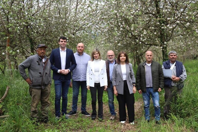 Abierto el plazo para inscribirse en las Rutas das Maceiras en Flor de A Estrada