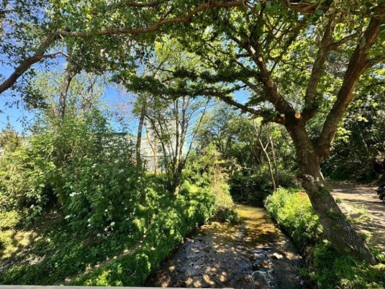 El Concello inaugura una nueva ruta saludable en la Senda Azul del Lagares