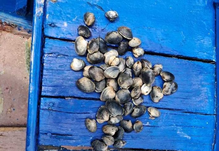 La Policía Local de Vigo intercepta a dos hombres por marisqueo ilegal en playas del municipio