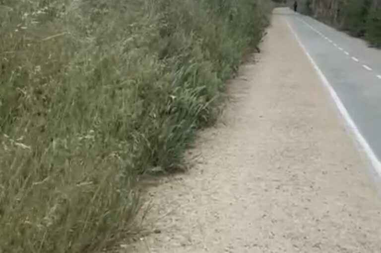 La Asociación Vecinal de Teis denuncia el abandono de la Vía Verde y reclama más mantenimiento en los espacios verdes del barrio