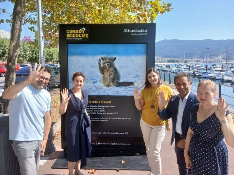 ABANCA, Afundación y el Concello de Moaña presentan «Comedy Wildlife», la nueva muestra de calle del proyecto «Corrente cultural»