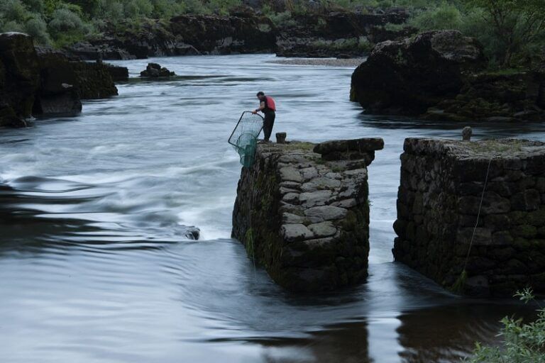 Arbo se consolida como un destino único en Galicia al unir naturaleza, gastronomía y tradición