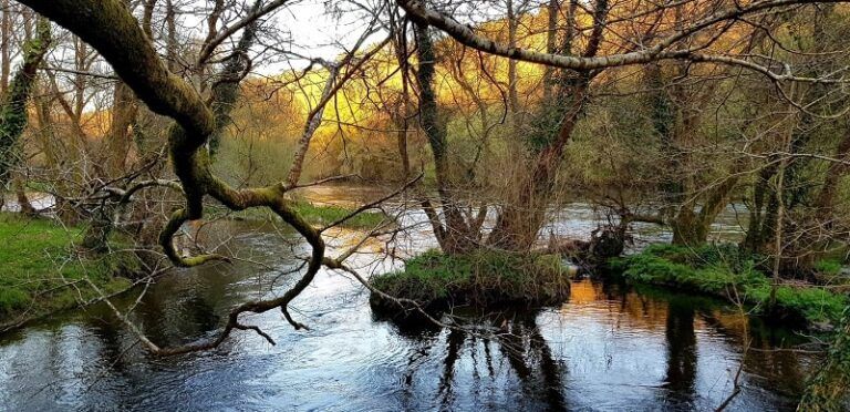 Galicia, tierra de agua: vigilancia y compromiso para preservar un recurso vital