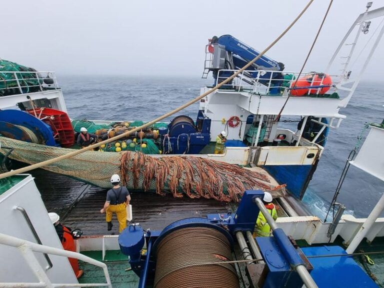 El IEO inicia en el Atlántico Norte una campaña clave para evaluar especies pesqueras de interés para España