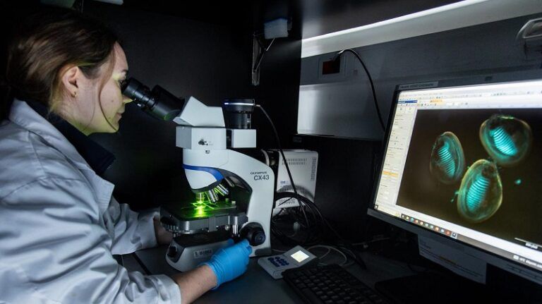 Investigadores del CIM consiguen la primera criopreservación mundial de juveniles de mejillón de 1 mm