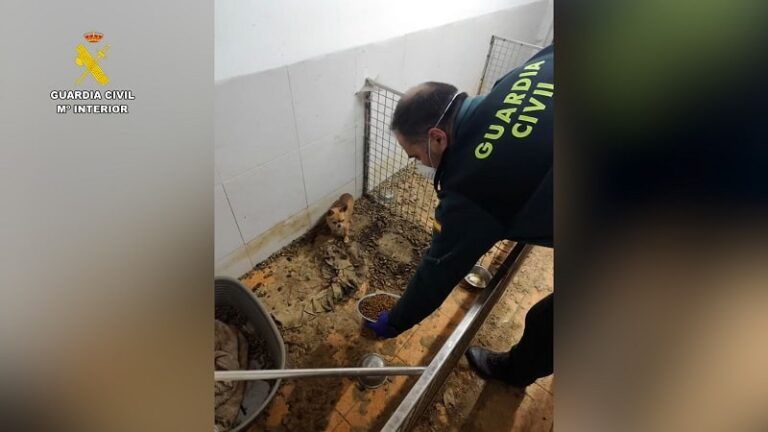 La Guardia Civil descubre 250 cadáveres de animales en un criadero ilegal en A Coruña