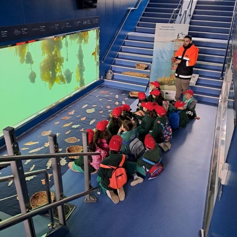 Unas 150 especies animales colonizan ya las estructuras instaladas frente al Nautilus en el Puerto de Vigo