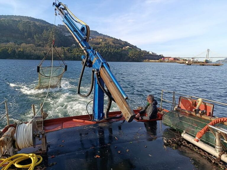 La ciencia se moviliza para devolver la volandeira a los mercados de Vigo
