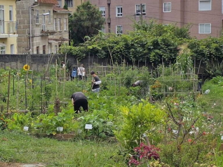 Vigo retoma en abril el programa Camiño a Camiño con rutas ambientales huertas urbanas y voluntariado