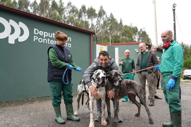 El CAAN de Meis se refuerza: la Deputación invierte 20.000 euros para mejorar quirófanos y el control de colonias felinas