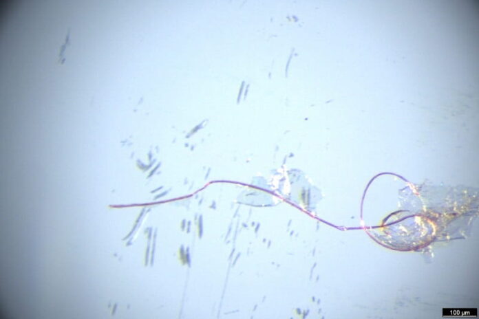 NP_30042026_microfibras(1)
