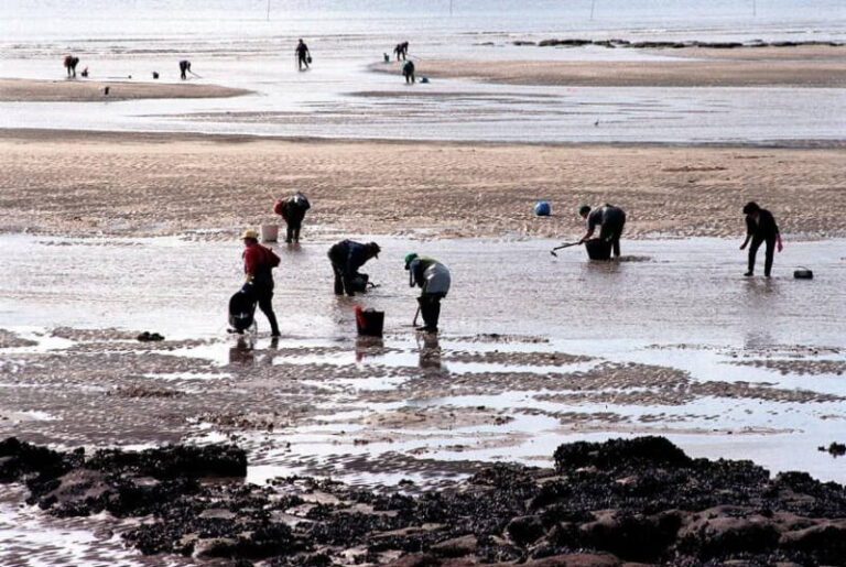 Rueda anuncia la firma de un convenio de colaboración con la cofradía de Noia por 1,6 M€ para la restauración de los hábitats y zonas de producción marisquera