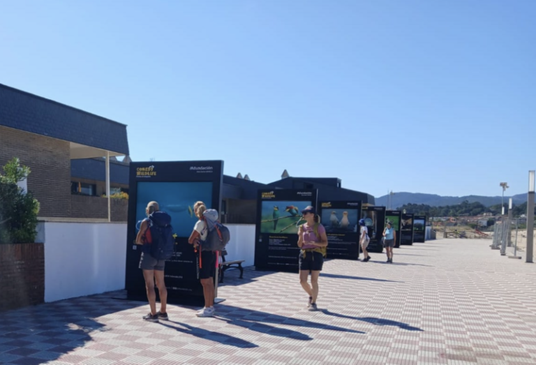Nigrán acoge la exposición Comedy Wildlife con un mensaje de sostenibilidad en clave de humor